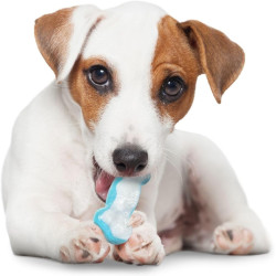 Cooling Dog Bone Toy Teething Chew Cooling Dog Bone Toy Teething Chew