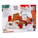 DIY Volcano Kit - Fun Exploding Science Project for Kids Aged 8+, Educational STEM Craft