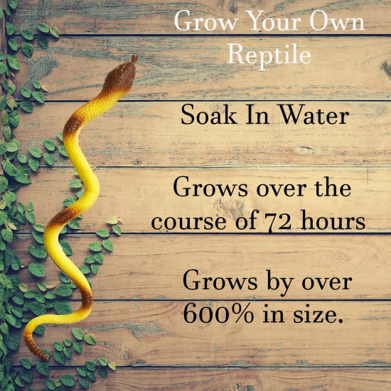 Grow Your Own Reptile Toy - Snake Grow Your Own Reptile Toy - Snake