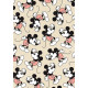 Mickey Mouse Boxed Postcard Collection - 50 Cards