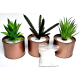 Trio Of Rose Gold Potted Artificial Succulents