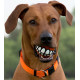 Smiley Teeth Dog Ball - Orange Smiley Teeth Dog Ball - Orange