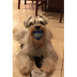 4 x Smiley Teeth Dog Balls ( Random Colours) 4 x Smiley Teeth Dog Balls ( Random Colours)