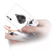 Marvin's Mind-Blowing Magic Set - 250 Card Tricks for Kids and Adults | Classic Illusions Kit with Props Marvin's Mind-Blowing Magic Set - 250 Card Tricks for Kids and Adults | Classic Illusions Kit with Props