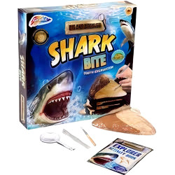 Grafix Dig and Discover Shark Tooth Excavation Kit - STEM Activity Gift for Kids
